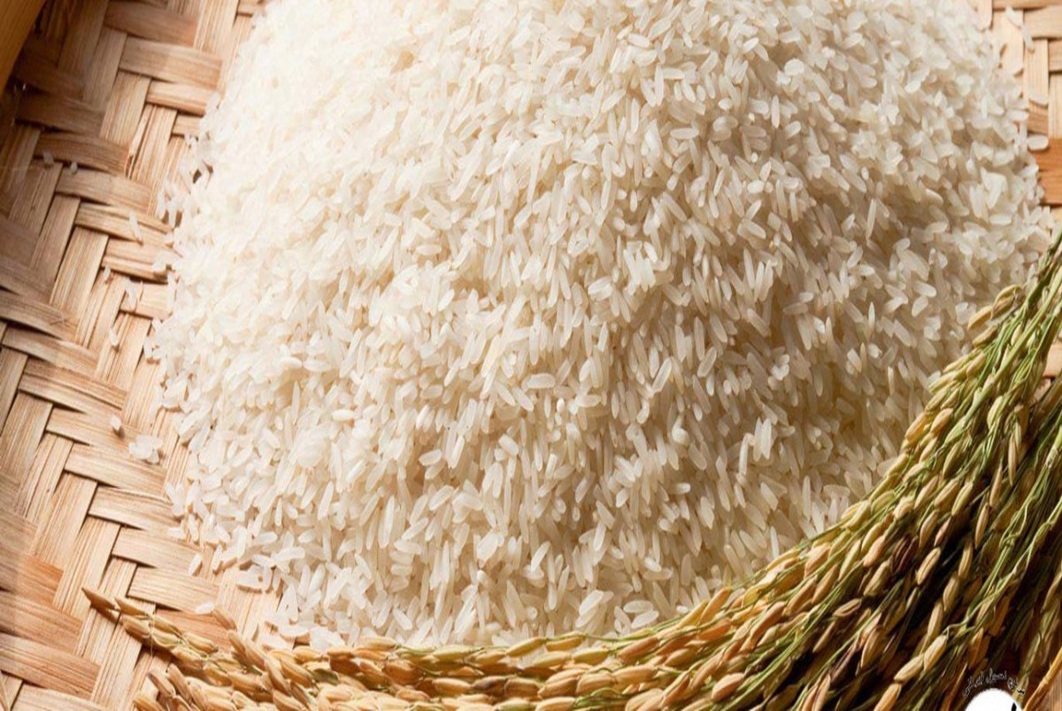 پاسخ سازمان غذا و دارو به ماجرای برنج های پلاستیکی