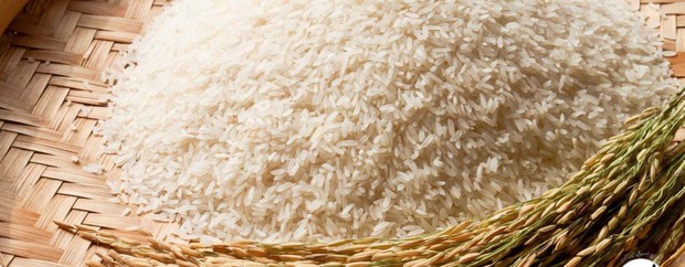 برنج همچنان با ارز ۴۲۰۰ تومانی وارد می شود