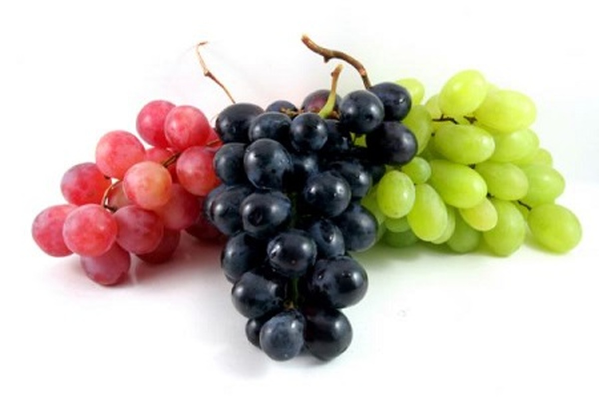 مصرف توت و انگور و تاثیر آن بر تقویت سلامت ریه ها
