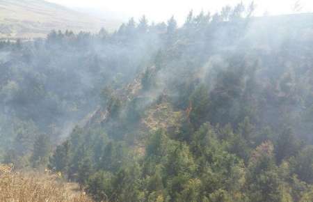 آتش به 11 هکتار ازعرصه های منابع طبیعی گلستان خسارت وارد کرد