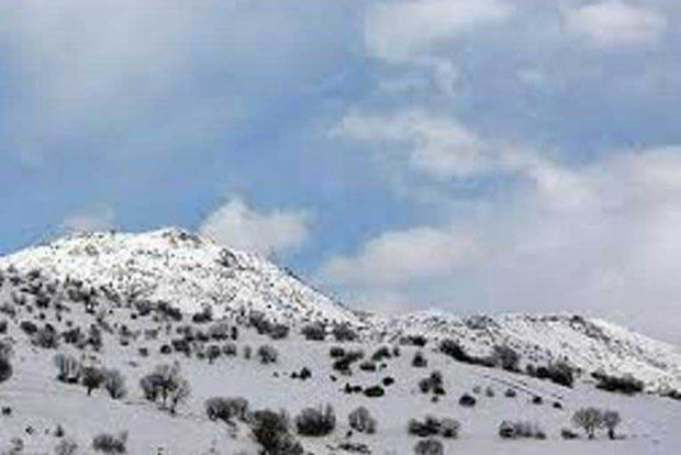 بارش برف در ارتفاعات استان زنجان ادامه دارد