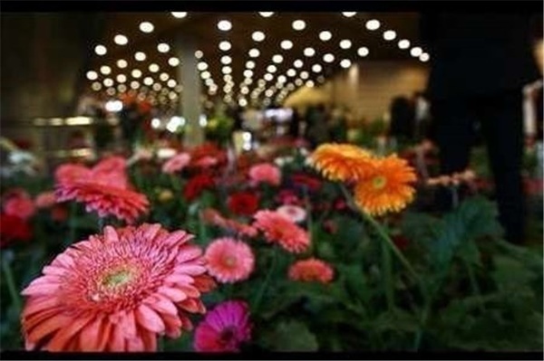 افتتاح اولین نمایشگاه گل و گیاه در ساری