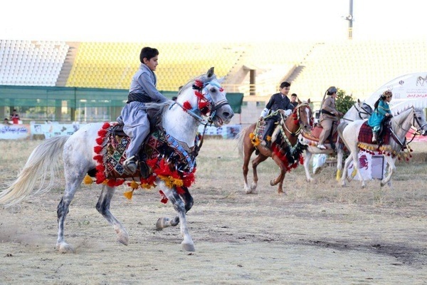 حضور ۱۵۰ سوارکار در دومین جشنواره ملی اسب کُرد