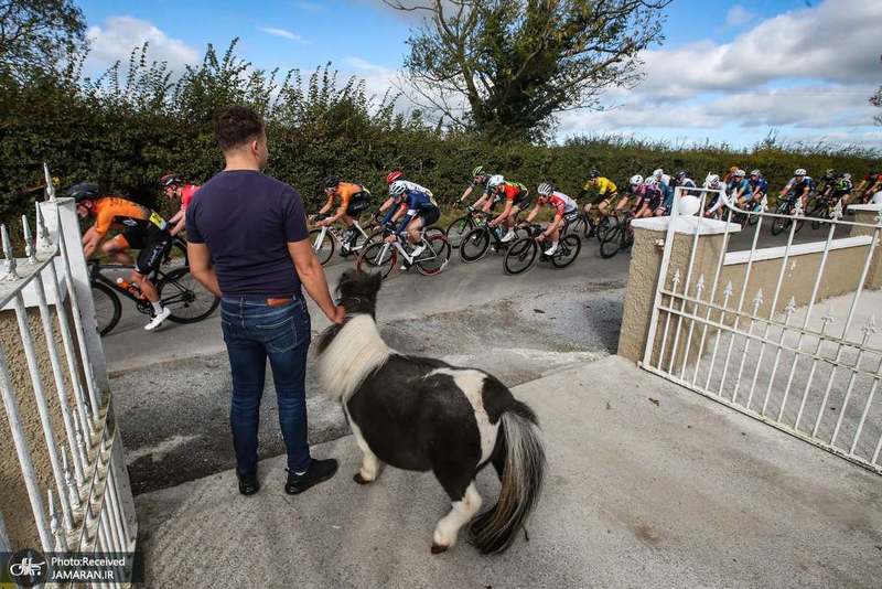 منتخب تصاویر امروز جهان- 14 مهر