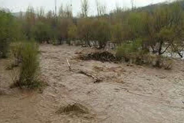 بارندگی شدید به روستای زرگر آباد دامغان خسارت زد