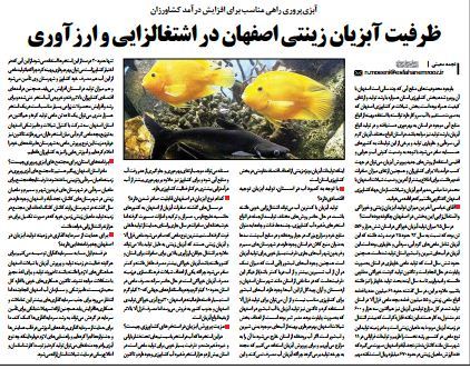 ظرفیت آبزیان زینتی اصفهان در اشتغالزایی و ارزآوری