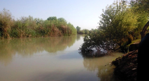 هشدار مدیرکل بحران خوزستان نسبت به نشت نفت به تالاب هورالعظیم