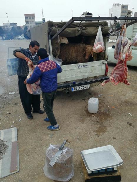 دامپزشکی با عرضه غیرمجاز گوشت در کرمانشاه برخورد می کند