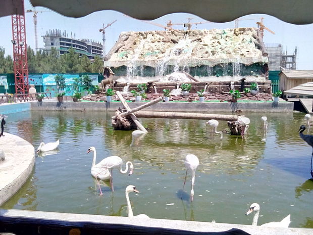 اصلاحات زیست محیطی در باغ پرندگان مشهد انجام شد