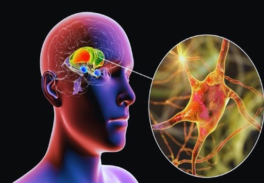 کاشت دستگاهی در مغز که باعث لاغری می‌شود!
