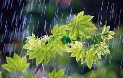 بارندگی در 17 شهرستان خراسان رضوی