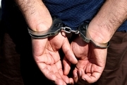 دستگیری زوج کلاهبردار میلیاردی در ساری