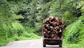 کشف 7 تن چوب آلات جنگلی قاچاق در تنکابن