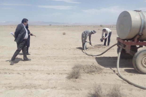 عملیات بیابان‌زدایی در ۶ هزار هکتار اراضی استان سمنان انجام شد