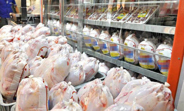 توزیع روزانه 100 تن مرغ دولتی 11500 تومانی در مازندران