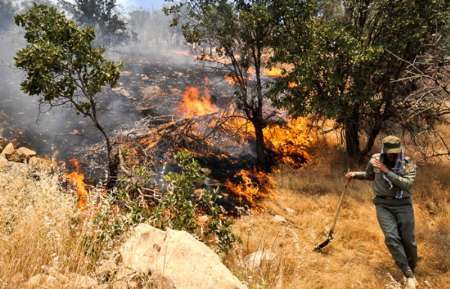 وقوع آتش سوزی در جنگل ها و مراتع  معمولان پلدختر