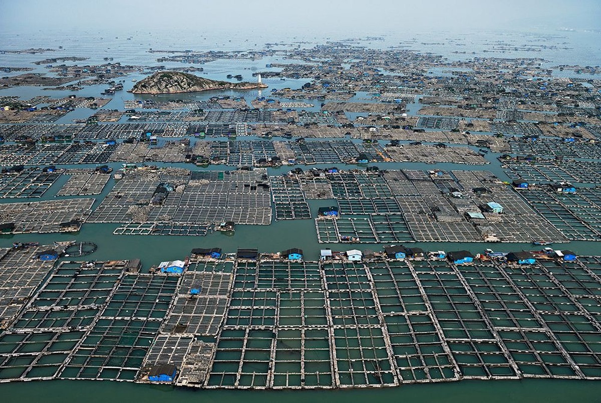 مزارع شناور ماهی در دریا + تصاویر