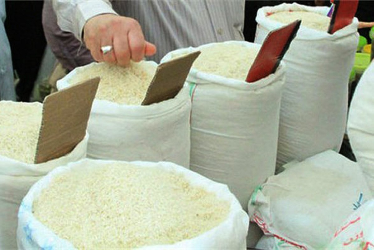 آخرین قیمت برنج در بازار؛ شیب نرخ ها نزولی شد؟