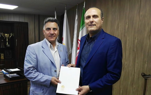 سیفی‌زاده از فدراسیون بسکتبال رفت
