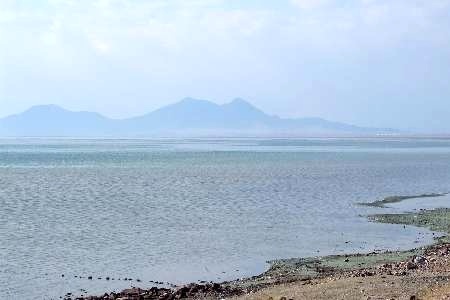 افزایش 45 سانتیمتری تراز آب دریاچه ارومیه