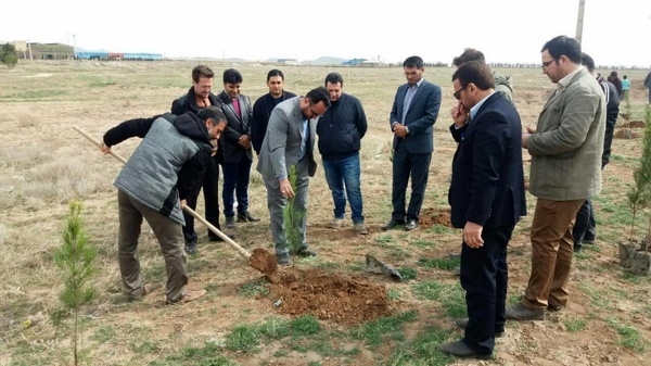 غرس 1000 اصله نهال توسط مجرم محیط زیستی در تاکستان