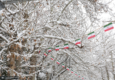 بارش زیبای برف در تهران 
