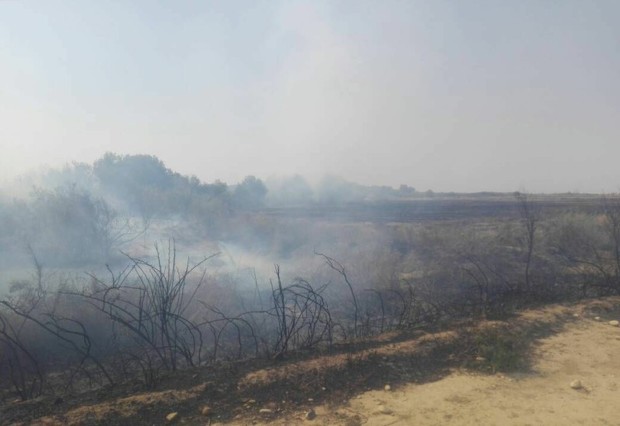 آتش سوزی 2 میلیارد ریال به پارک ملی کرخه خسارت زد