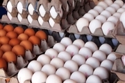 تخم مرغ گران شد؛ دلیل چیست؟