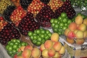 ثبات قیمت در بازار میوه اهواز