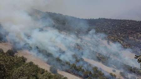 کاهش 80 درصدی آتش سوزی در مراتع استان مرکزی