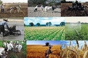 رونمایی از 100 اپلیکیشن کشاورزی