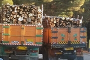 محموله 18 تنی چوب قاچاق در بجنورد کشف شد