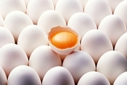 تولید 8360 تن تخم مرغ در آبیک