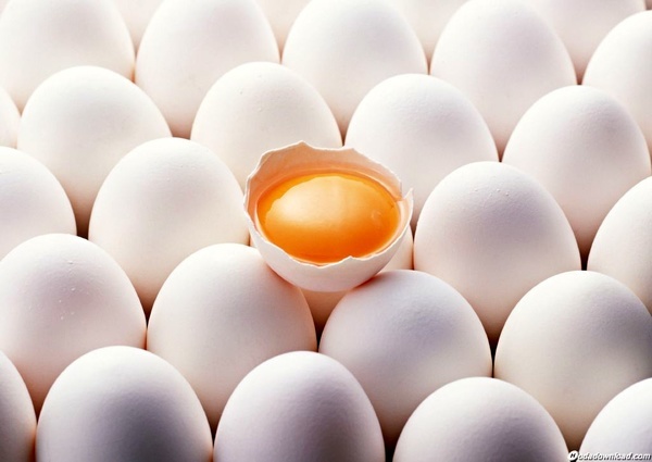 تولید 8360 تن تخم مرغ در آبیک