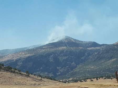 آتش باردیگر در ارتفاعات کوه دلا در اندیکا شعله ور شد