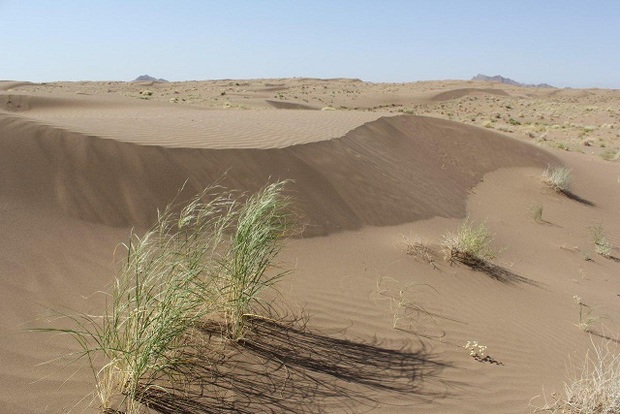 80 هکتار عرصه های منابع طبیعی بجستان در وضعیت بحرانی