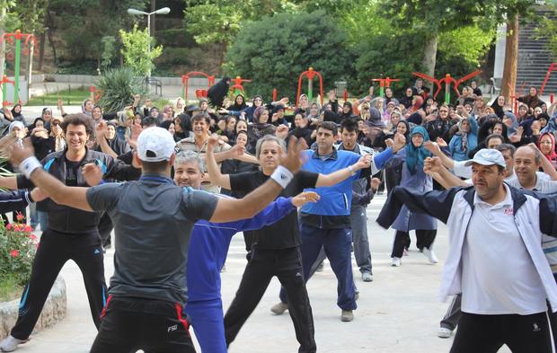 راه اندازی دومین شبکه ورزش به پیشنهاد وزیر ورزش
