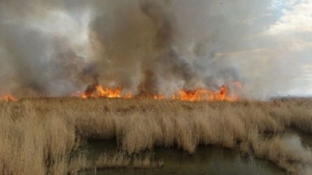 ۷۰ درصد آتش سوزی‌های قزوین از مزارع شروع می شود