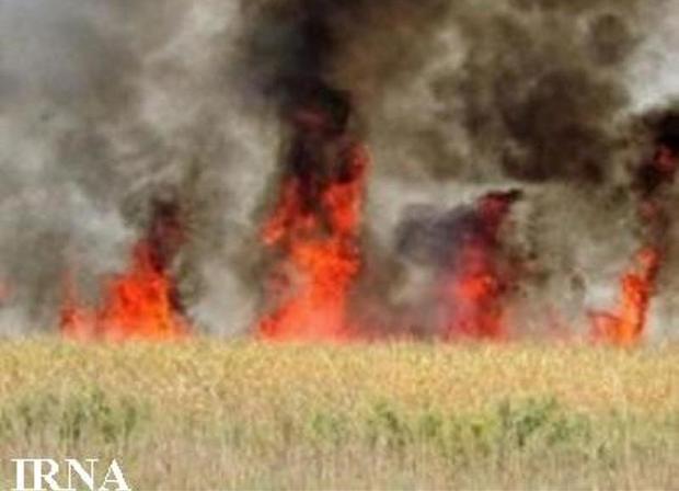 دود آتش سوزی تالاب ها چند شهر خوزستان را فراگرفت