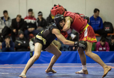 تیم زنجان در مسابقات ووشوی بزرگسالان کشور قهرمان شد
