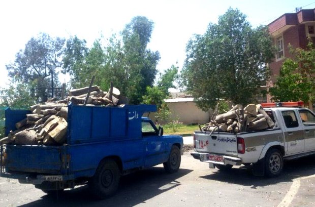 سه تن چوب جنگلی قاچاق در جیرفت کشف شد