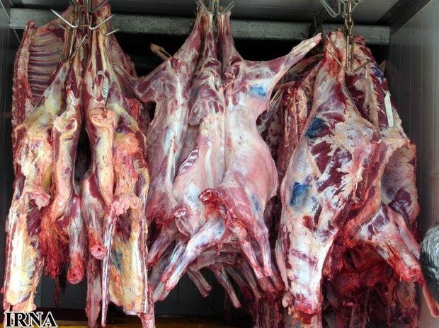 76 تن گوشت گرم گوسفندی در کرمانشاه توزیع شد