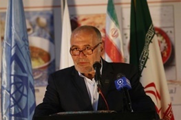 جشنواره غذای اکو، از مصادیق بارز دیپلماسی فرهنگی است