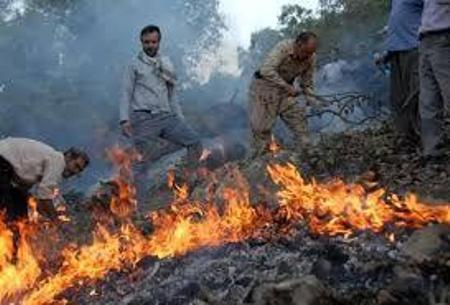 امکان شعله ورشدن بقایای آتش درجنگل های عرب داغ کلاله وجود دارد