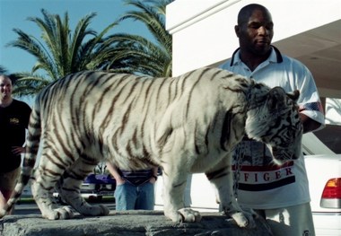 غرامت ۸ میلیون دلاری تایسون برای کتک زدن هواداران
