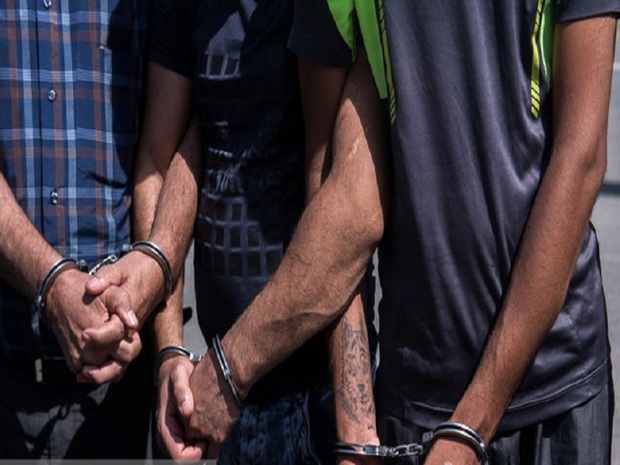 سه  سارق حرفه ای در بردسکن  دستگیر شدند