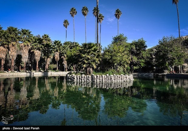 صدای پای آب و ساز دلنشین پرندگان در چشمه بلقیس چرام+ تصاویر