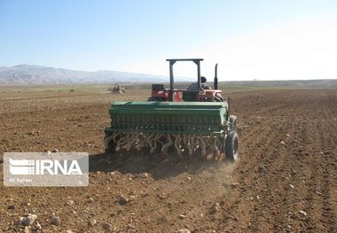 افزایش برداشت گندم در اصفهان مستلزم ادامه بارندگی‌ها و توزیع مطلوب آب است