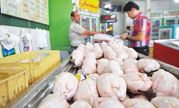توزیع  مرغ منجمد  در بازار بروجرد  آغاز  شد