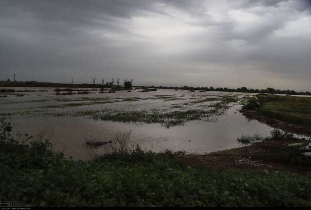 سیلاب 142هزار میلیارد ریال به بخش کشاورزی کشور خسارت زد
